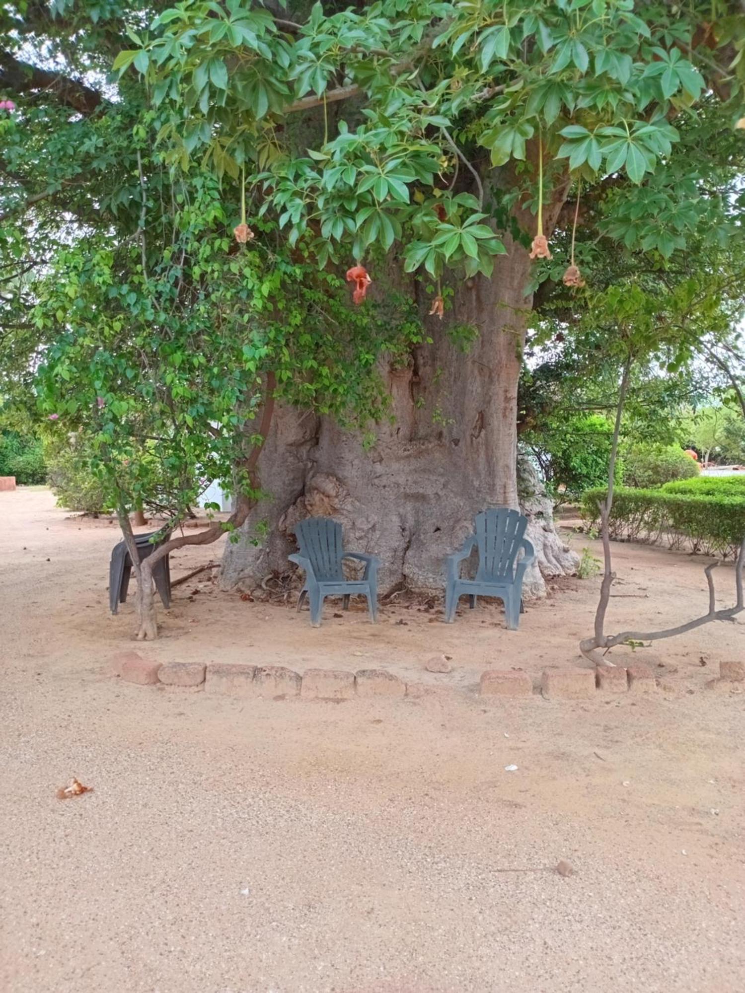 Baobab Lodge Fadial Esterno foto