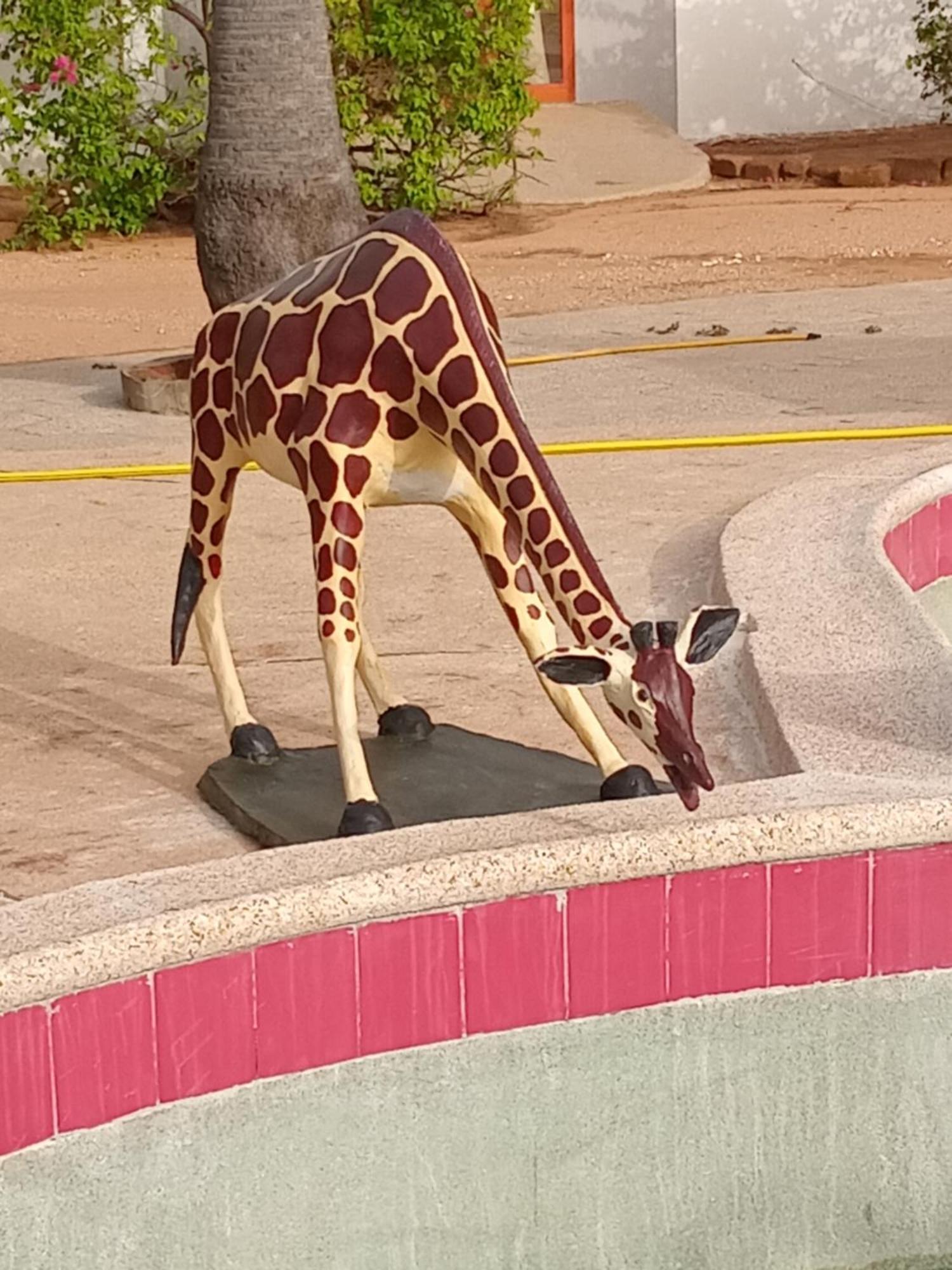 Baobab Lodge Fadial Esterno foto