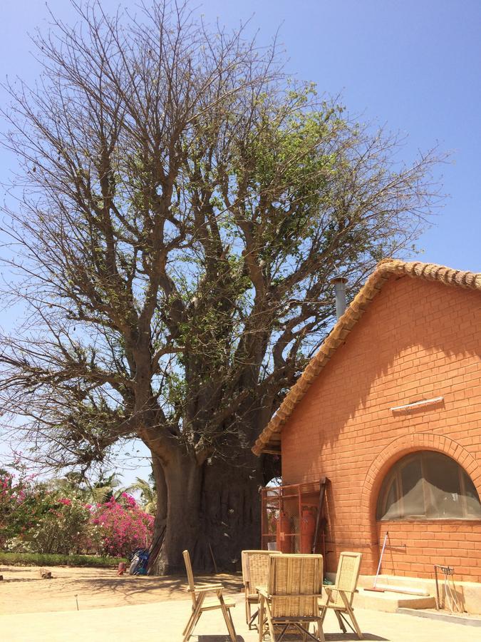 Baobab Lodge Fadial Esterno foto